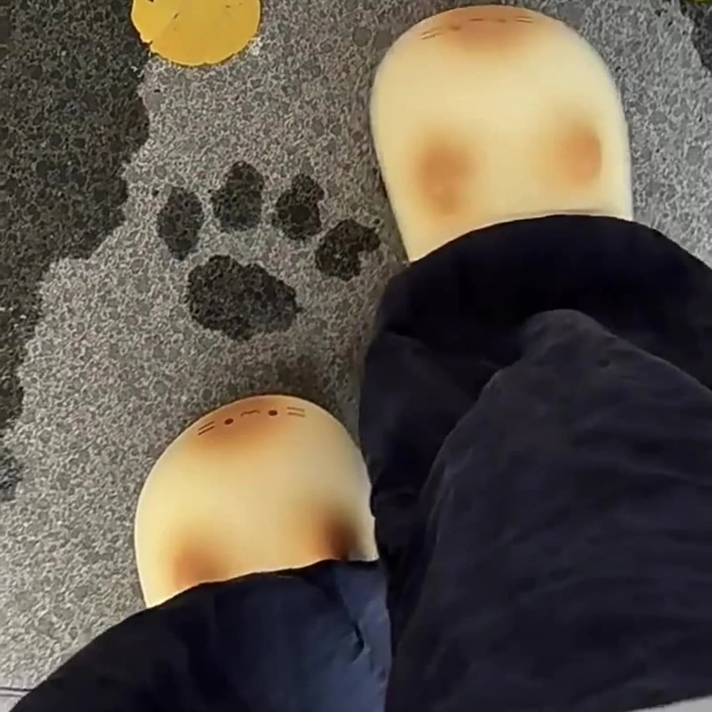 Cute Paw Print Slippers Winter Indoor Shoes with Fleece Lining Waterproof Closed Back House Shoes Non-Slip Sole for Women and Men Home Comfort